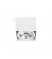 Plafón Tecto Blanco 1xAR111 50W