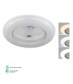 Ventilador De Techo Led RAKI/PERI AC 72W 8000LM Blanco CCT