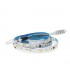 Tira Flexible LED Digital Tips 10W 800Lm/m IP20 DC24V -5 Metros-