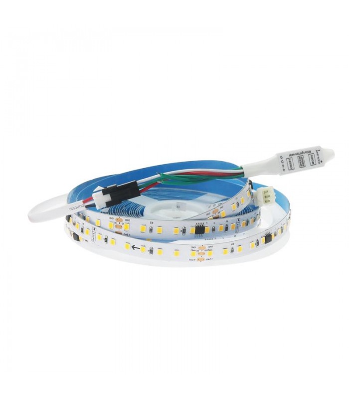 Tira Flexible LED Digital Tips 10W 800Lm/m IP20 DC24V -5 Metros-