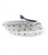 Tira Flexible Led 14W RGB+3000K 60Led/m IP20 DC24V -5 Metros-
