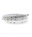 Tira Flexible Led 14W RGB+6000K 60Led/m IP65 DC24V -5 Metros-