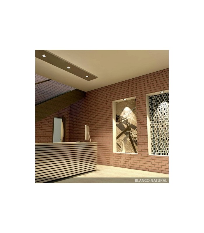 Downlight LED 12W 1.200Lm 60º IP20 Cromo