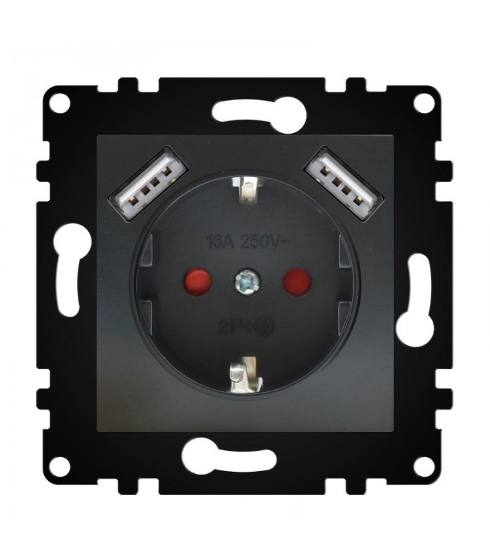 Enchufe Schuko + 2USB 2P + TT 16A Serie PJ