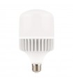 Bombilla Led T100 30W 2700Lm 270º E27