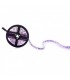 Tira Flexible LED 12W/m 420Lm SMD5050 IP20 DC 12V ROSA