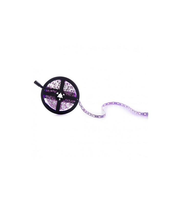 Tira Flexible LED 12W/m 420Lm SMD5050 IP20 DC 12V ROSA