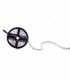 Tira Flexible LED 12W/m 420Lm SMD5050 IP20 DC 12V ROSA