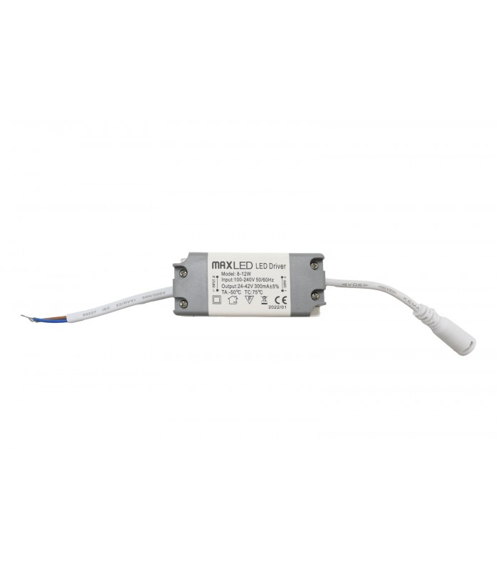 DRIVER 12W OUT DC24-42V 300mA IP20