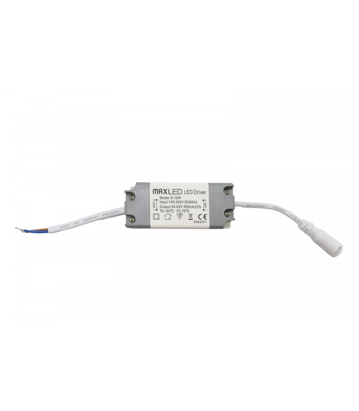 DRIVER 12W OUT DC24-42V 300mA IP20