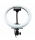 Anillo Luz Led Selfie 12W 26cm 10" CCT