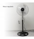 Ventilador De Pie Metálico Sandi 70W 50cm Negro/Cromo