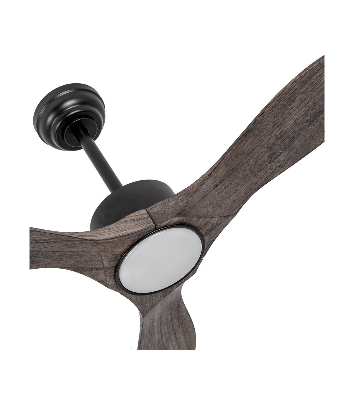 Ventilador de Techo SEGRE Negro DC 24W 2424Lm 3 Aspas Roble CCT