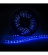 4W/m 840Lm SMD5050 IP20 DC 12V ULTRAVIOLETA