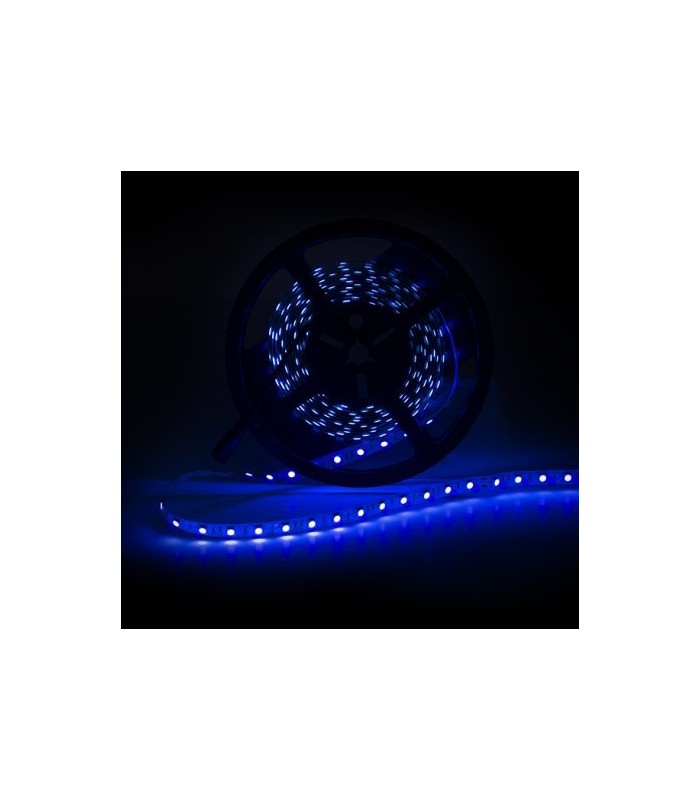 4W/m 840Lm SMD5050 IP20 DC 12V ULTRAVIOLETA