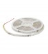 Tira Flexible LED MAGIC 6W/m RGB SMD5050 IP65 DC 12V MAGIC