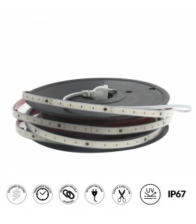Tira LED Brescia 12W/m 1560Lm/m 220V IP67 -20Metros-