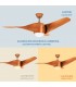 Ventilador de Techo Fanton Madera DC 18W 1450Lm 3 Aspas CCT