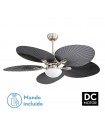 Ventilador de Techo CHAW Níquel DC 24W 2950Lm 5 Aspas Negro CCT