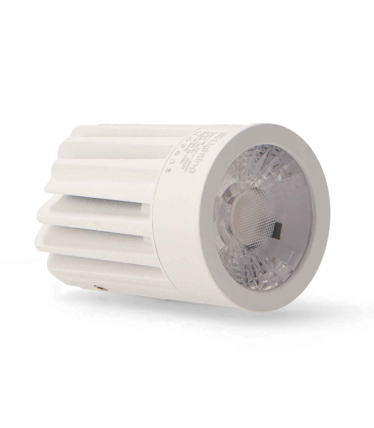 Modulo LED Ronse 12W 1320Lm 24º IP20