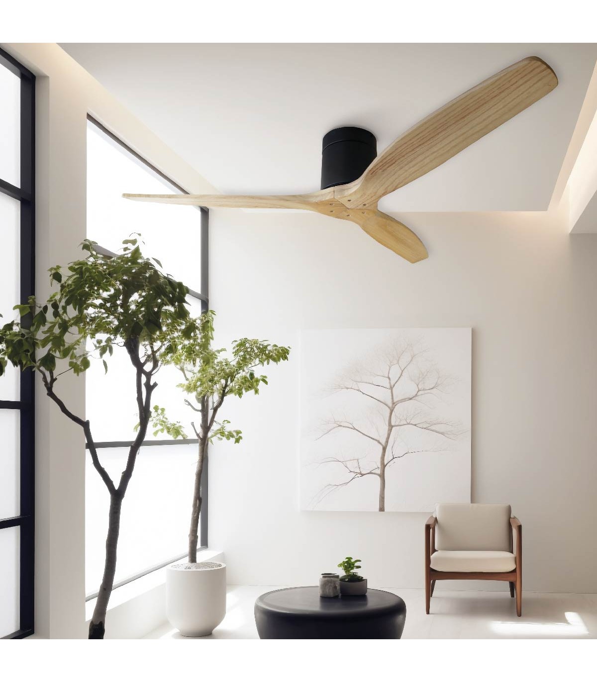 Ventilador Mucari Negro DC 3 Aspas Haya Sin Luz 132D