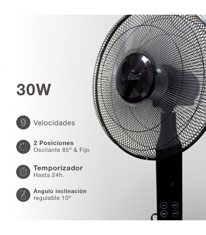 Ventilador de Pie con Mando Theri DC 30W 43cm Negro