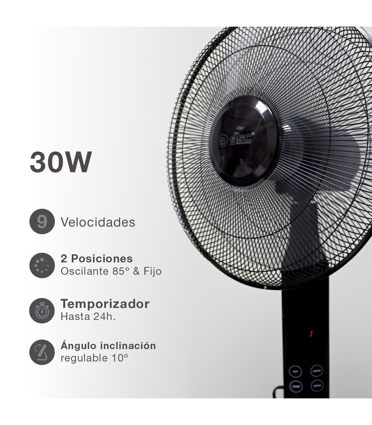 Ventilador de Pie con Mando Theri DC 30W 43cm Negro