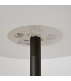 Sobremesa portátil BIANA con USB 1W 95Lm RGB IP44