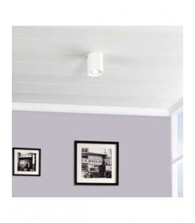 Aplique de Techo Basculante Superficie GU10 Blanco