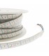 Tira Slim LED Bergamo 13W/m 1000Lm/M 220V IP65 RGB -Metro-