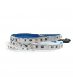 Tira Flexible Led 12W RGB 96Led/m IP20 DC24V -5 Metros-