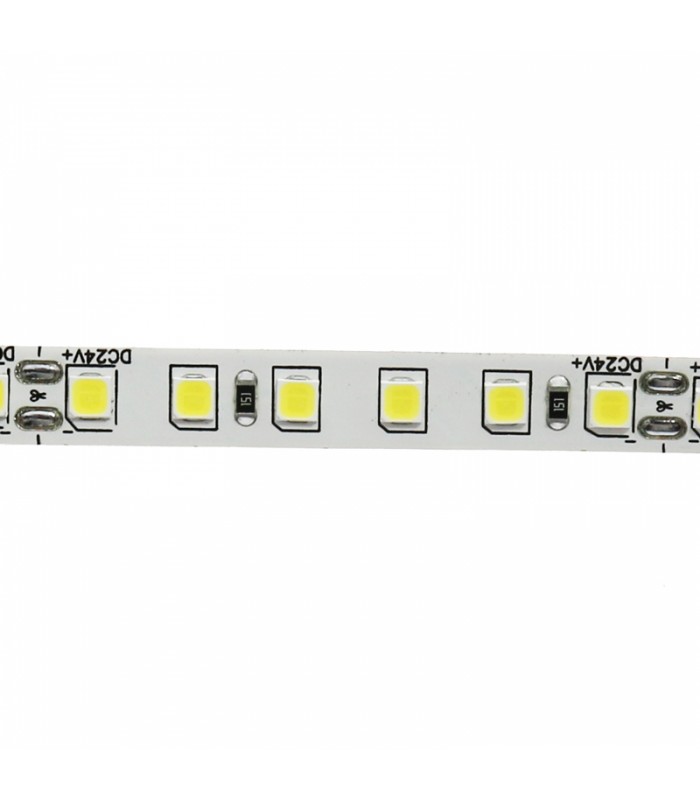 Tira Flexible Led 12W 1200Lm/M 120Led/m IP20 DC24V -10 Metros-