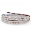 Tira Flexible Led 12W 1100Lm/M 120Led/m OSRAM IP20 DC24V -5 Metros-