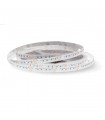Tira Flexible Led 12W RGB 120Led/m IP20 DC24V -10 Metros-