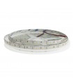 Tira Flexible Led 12W 1200Lm/M 120Led/m IP20 DC24V -20 Metros-