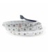 Tira Flexible Led 14W RGB+6000K 60Led/m IP20 DC24V -5 Metros-
