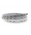 Tira Flexible Led 14W RGB+3000K 60Led/m IP65 DC24V -5 Metros-
