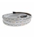 Tira Flexible Led 15W RGB+CCT 60Led/m IP20 DC24V -5 Metros-