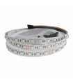 Tira Flexible Led 15W RGB+CCT 60Led/m IP20 DC24V -5 Metros-
