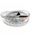 Tira Flexible Led 15W RGB+CCT 60Led/m IP65 DC24V -5 Metros-