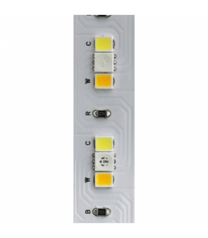 Tira Flexible Led 14W RGB+CCT 168Led/m IP20 DC24V -5 Metros-
