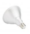 Lámpara LED PAR38 18W 700Lm 120º E27 IP65 VERDE