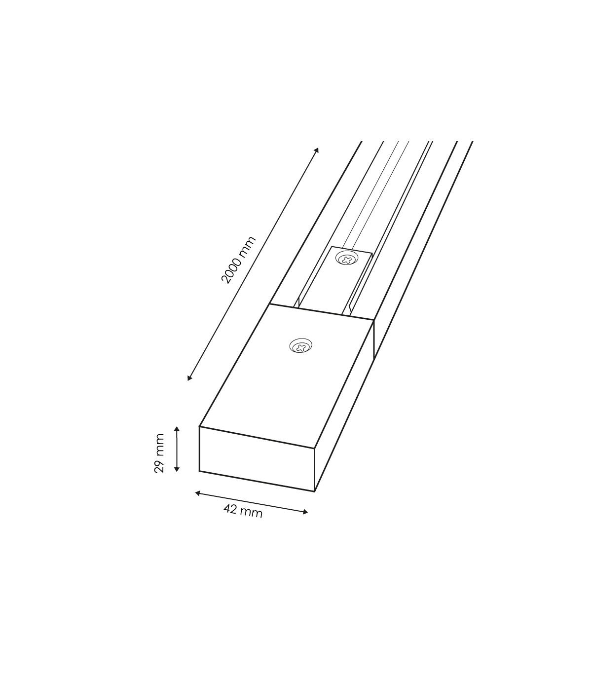 Carril Monofásico Maxpower 2 Metros