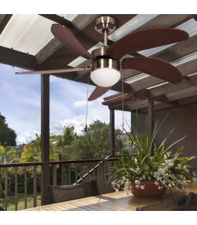 Ventilador de Techo Delfín Niquel 6 Aspas Wengué 1xE27 41x65D
