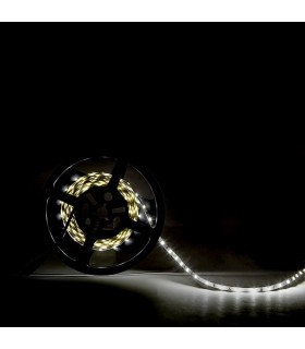 Tira Flexible Led 4.8W 480Lm/M 60Led/m IP20 DC24V -5 Metros-