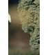 Estaca Jardín LUXTAR 8W 600Lm 230V IP65