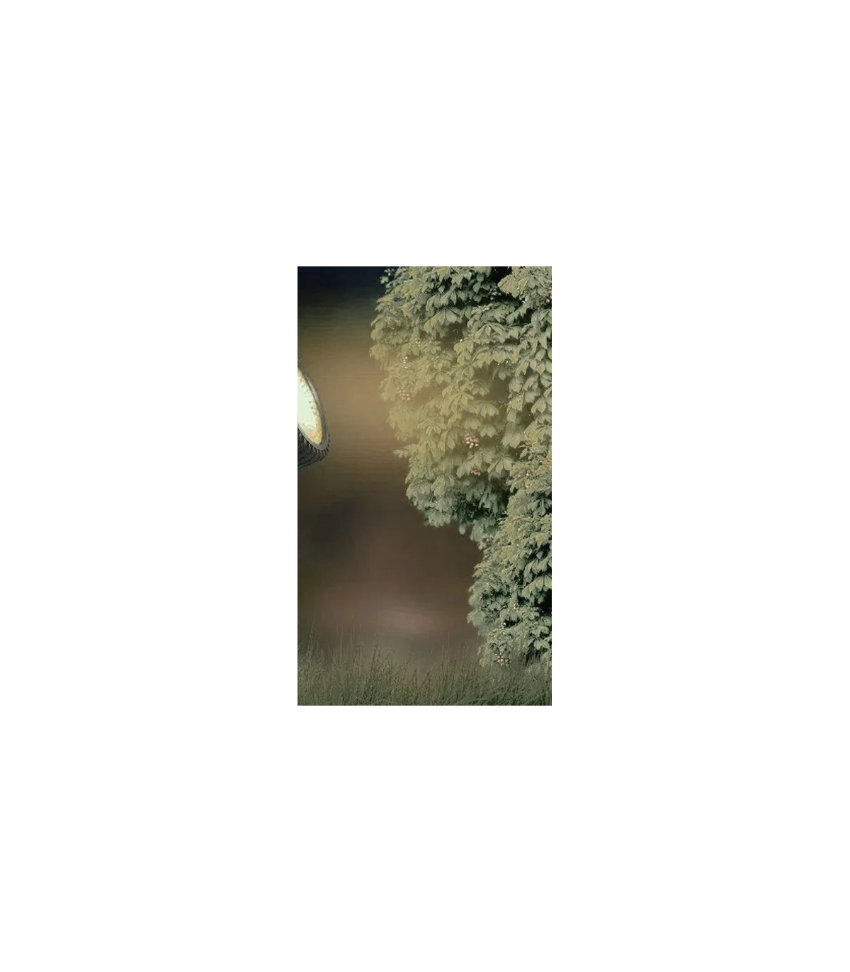 Estaca Jardín LUXTAR 8W 600Lm 230V IP65