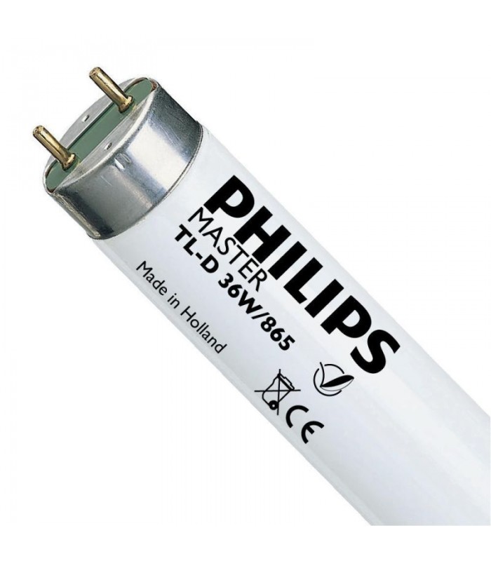 Tubo Fluorescente PHILIPS MASTER TL-D T8 36W Super 80
