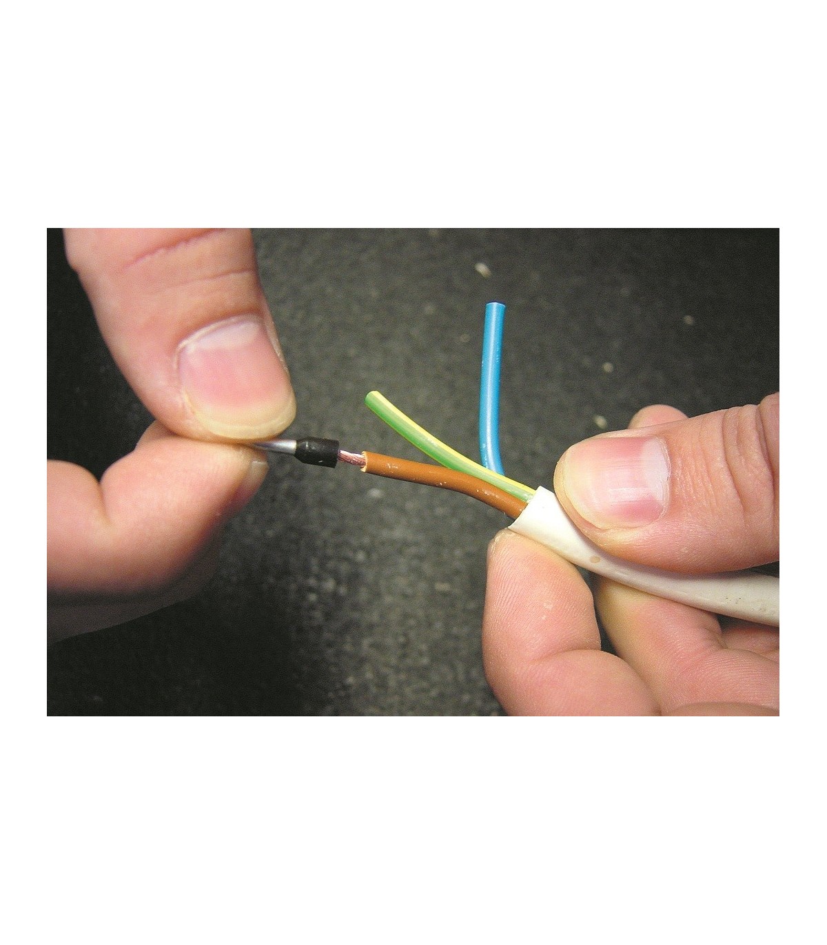 5 mm2