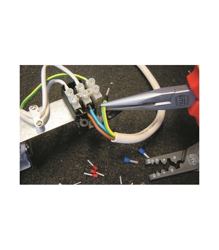 5 mm2